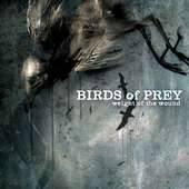 Birds Of Prey : Weight Of The Wound
